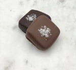 Load image into Gallery viewer, Sea Salt Caramels
